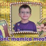 design cana personalizata 14