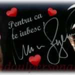 design cana personalizata 19