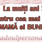 design cana personalizata 4