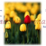 design cana personalizata 6